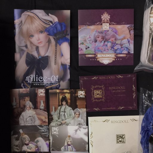 リングドール 1/4サイズ アリス Alice 01 ドール